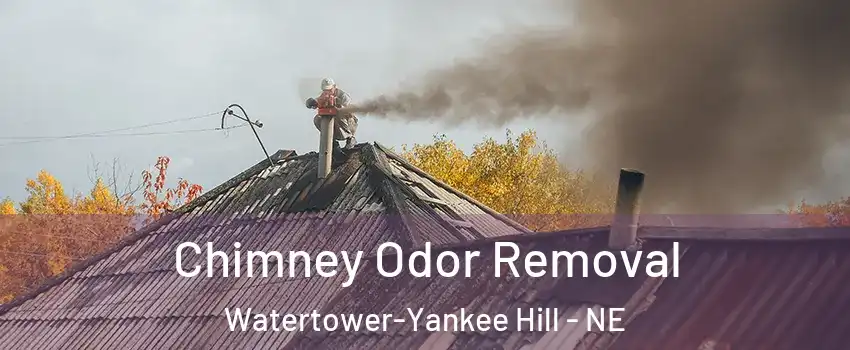 Chimney Odor Removal Watertower-Yankee Hill - NE