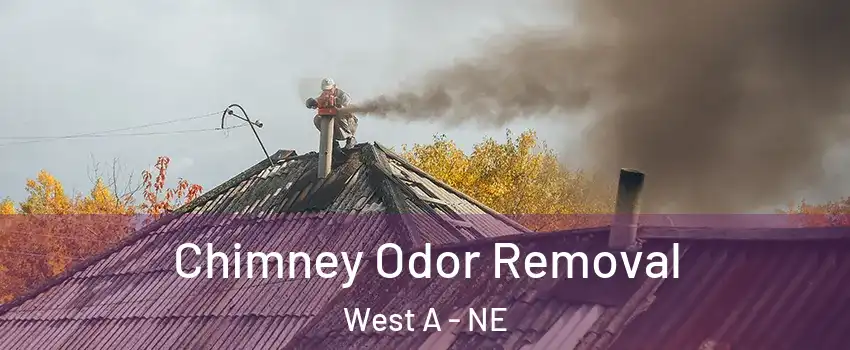 Chimney Odor Removal West A - NE