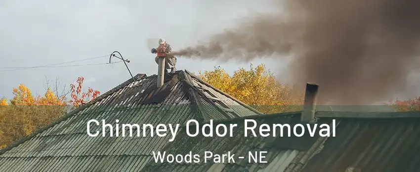 Chimney Odor Removal Woods Park - NE