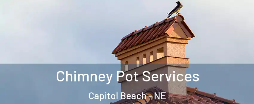 Chimney Pot Services Capitol Beach - NE