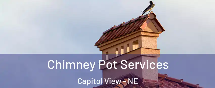 Chimney Pot Services Capitol View - NE