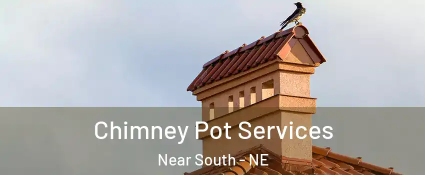 Chimney Pot Services Near South - NE