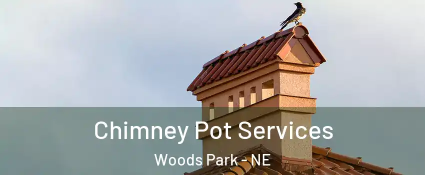 Chimney Pot Services Woods Park - NE