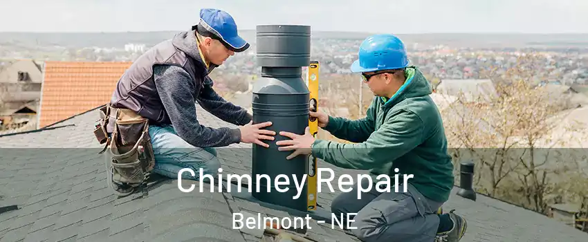 Chimney Repair Belmont - NE