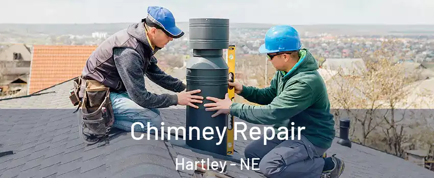 Chimney Repair Hartley - NE