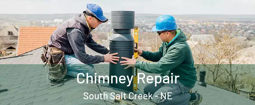 Chimney Repair South Salt Creek - NE