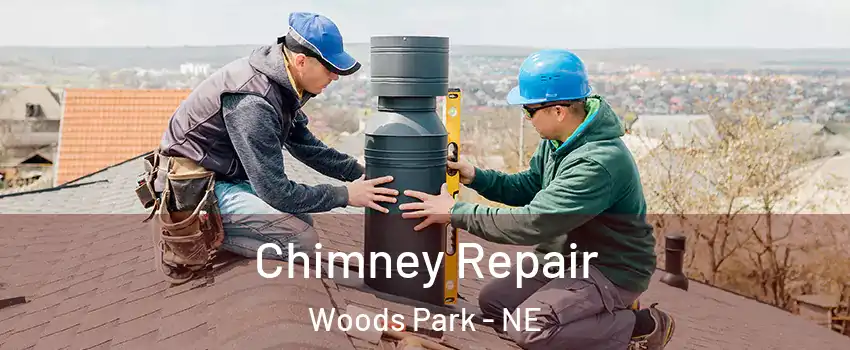 Chimney Repair Woods Park - NE