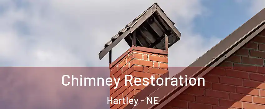 Chimney Restoration Hartley - NE