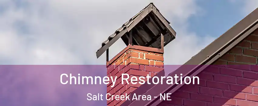Chimney Restoration Salt Creek Area - NE