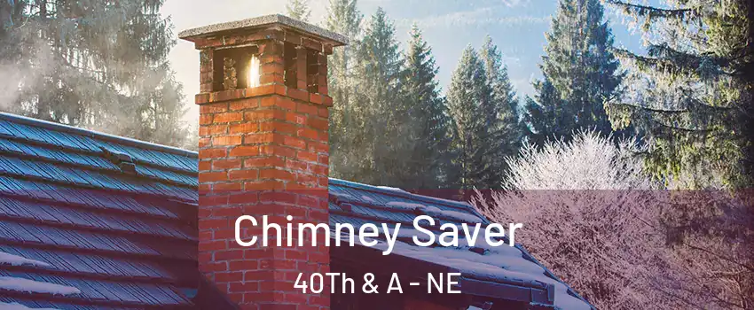 Chimney Saver 40Th & A - NE