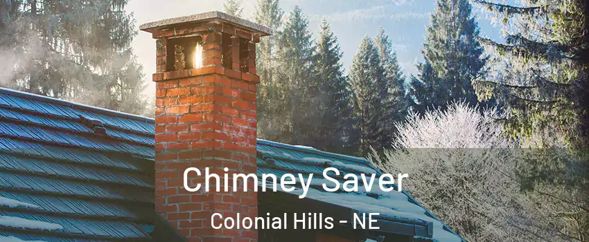 Chimney Saver Colonial Hills - NE