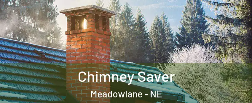 Chimney Saver Meadowlane - NE