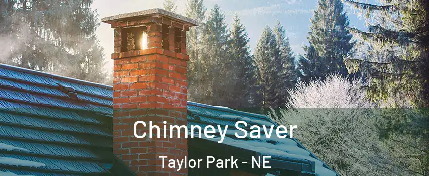 Chimney Saver Taylor Park - NE