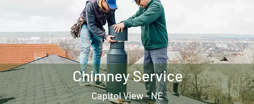 Chimney Service Capitol View - NE