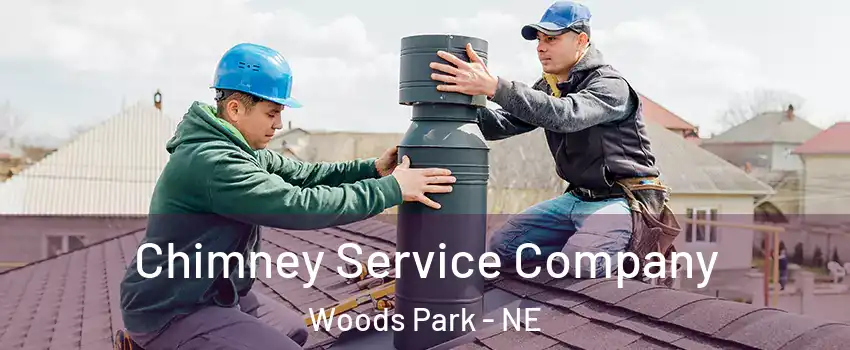 Chimney Service Company Woods Park - NE