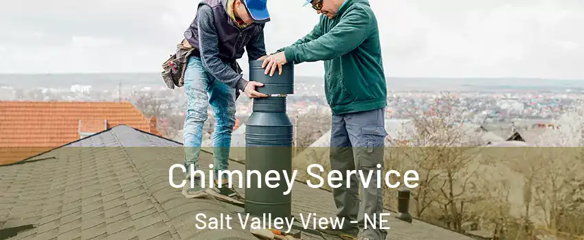 Chimney Service Salt Valley View - NE
