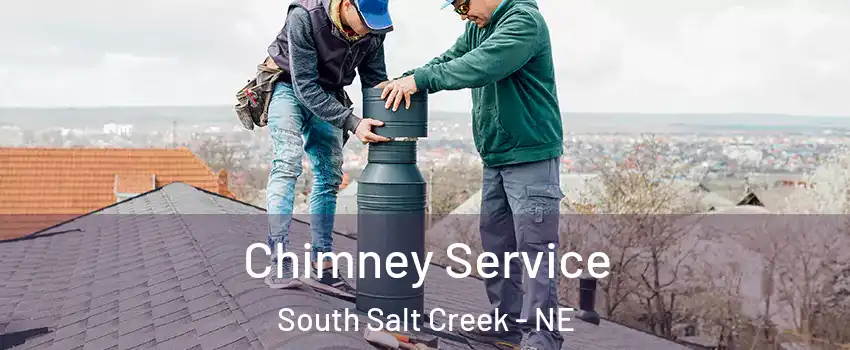Chimney Service South Salt Creek - NE