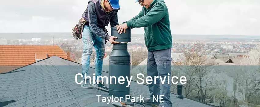 Chimney Service Taylor Park - NE