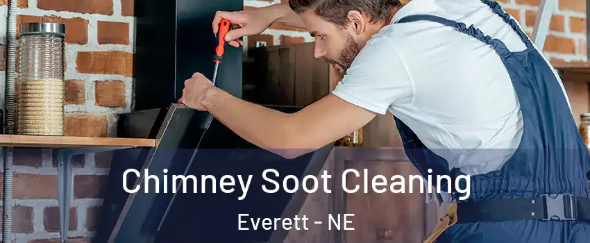 Chimney Soot Cleaning Everett - NE