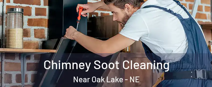 Chimney Soot Cleaning Near Oak Lake - NE