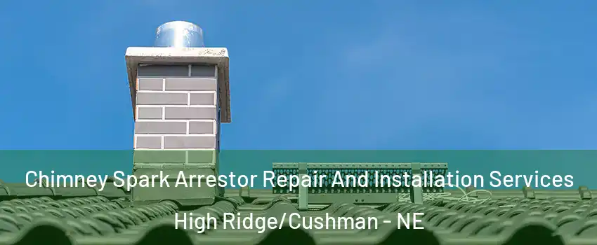 Chimney Spark Arrestor Repair And Installation Services High Ridge/Cushman - NE