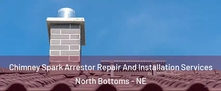 Chimney Spark Arrestor Repair And Installation Services North Bottoms - NE