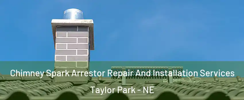 Chimney Spark Arrestor Repair And Installation Services Taylor Park - NE
