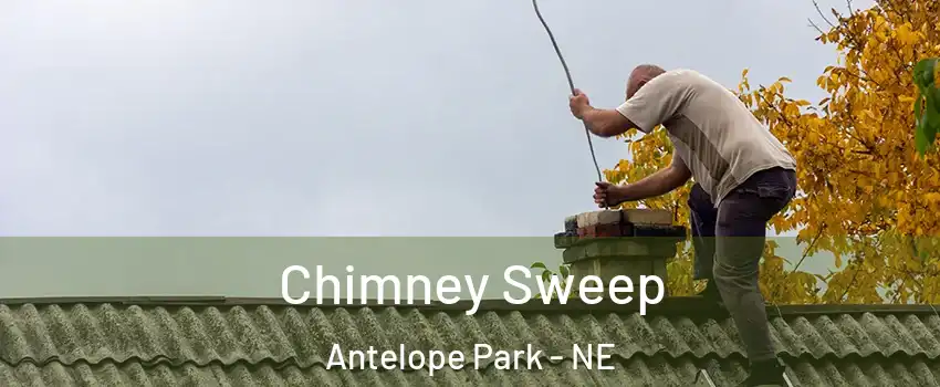Chimney Sweep Antelope Park - NE