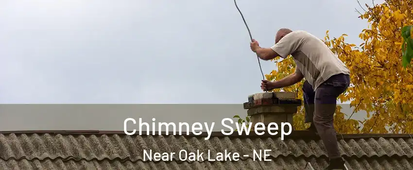 Chimney Sweep Near Oak Lake - NE