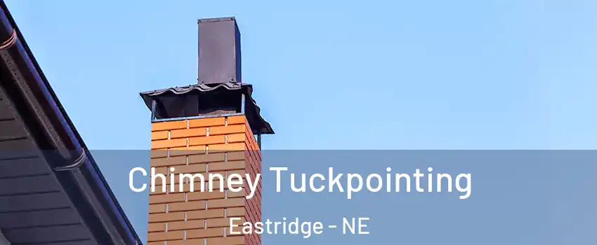 Chimney Tuckpointing Eastridge - NE