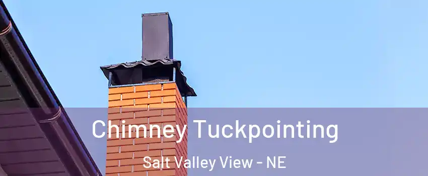 Chimney Tuckpointing Salt Valley View - NE