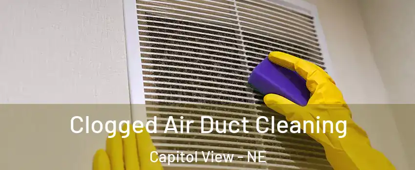 Clogged Air Duct Cleaning Capitol View - NE