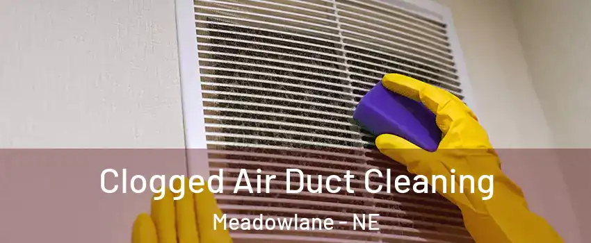 Clogged Air Duct Cleaning Meadowlane - NE