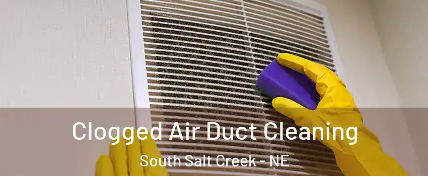 Clogged Air Duct Cleaning South Salt Creek - NE