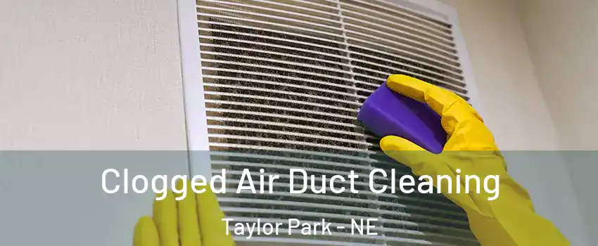 Clogged Air Duct Cleaning Taylor Park - NE