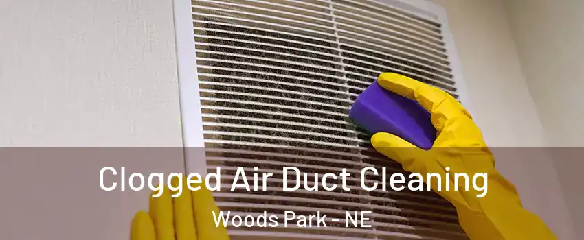 Clogged Air Duct Cleaning Woods Park - NE