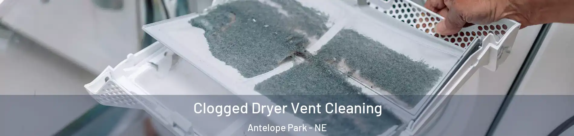 Clogged Dryer Vent Cleaning Antelope Park - NE