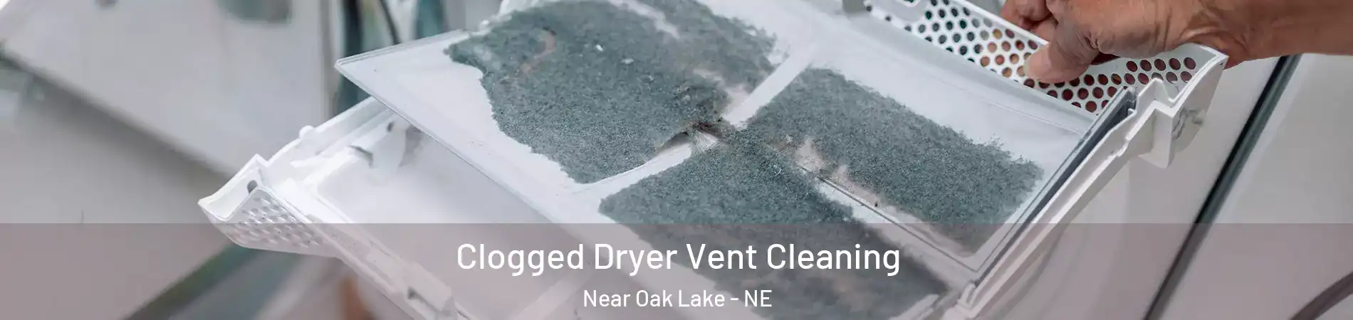 Clogged Dryer Vent Cleaning Near Oak Lake - NE