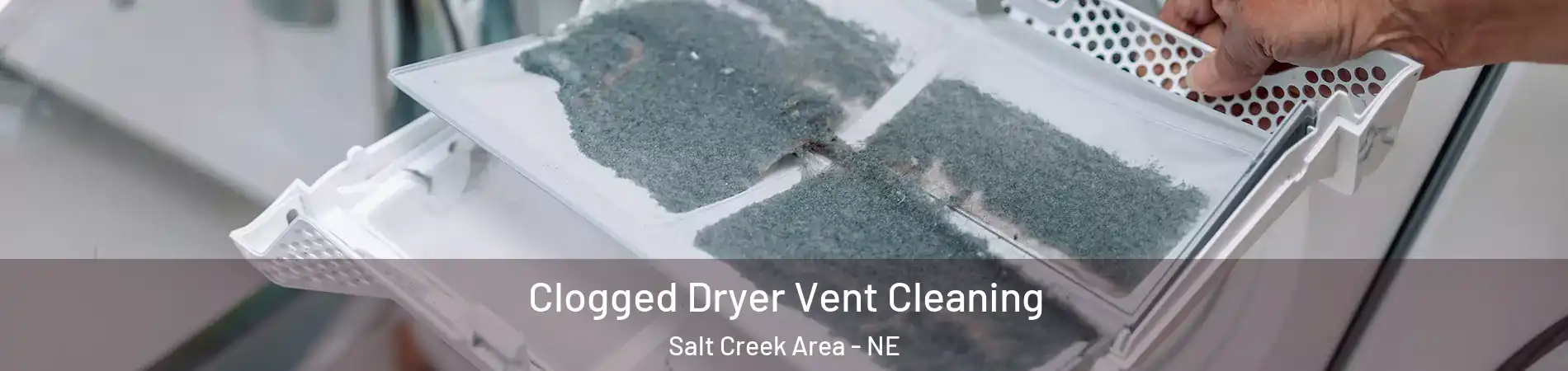 Clogged Dryer Vent Cleaning Salt Creek Area - NE