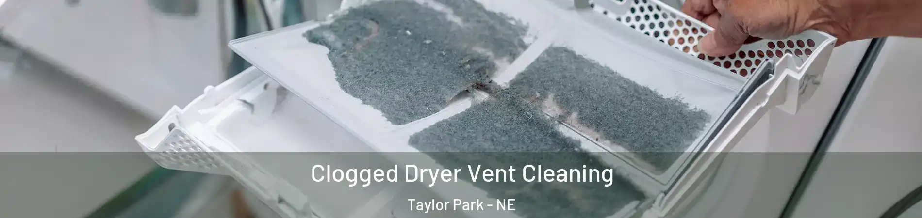 Clogged Dryer Vent Cleaning Taylor Park - NE