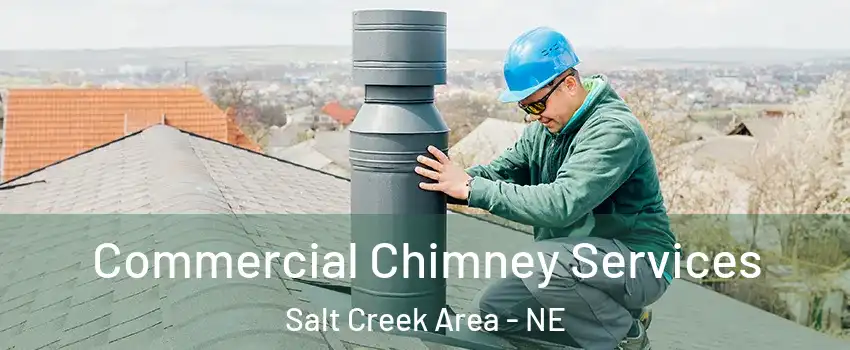 Commercial Chimney Services Salt Creek Area - NE