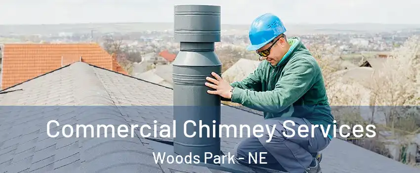 Commercial Chimney Services Woods Park - NE