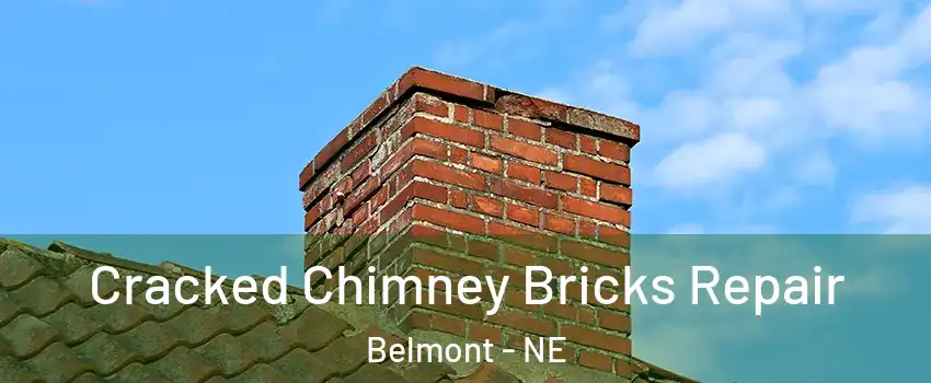 Cracked Chimney Bricks Repair Belmont - NE