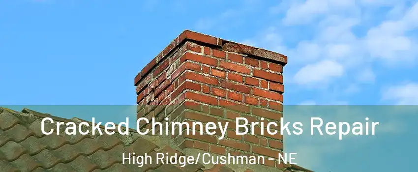 Cracked Chimney Bricks Repair High Ridge/Cushman - NE
