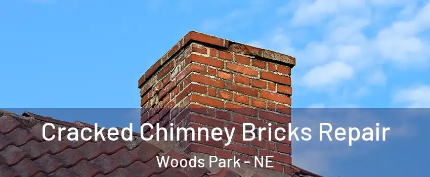 Cracked Chimney Bricks Repair Woods Park - NE