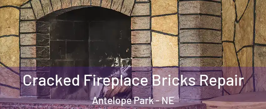 Cracked Fireplace Bricks Repair Antelope Park - NE