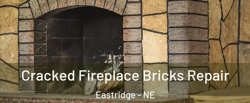 Cracked Fireplace Bricks Repair Eastridge - NE