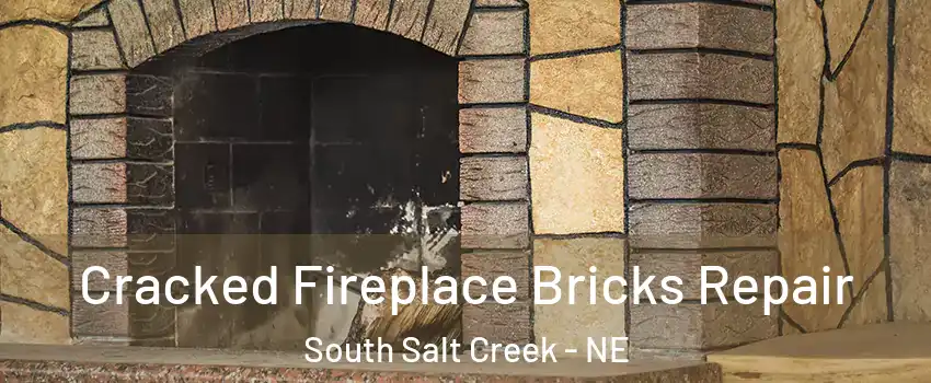 Cracked Fireplace Bricks Repair South Salt Creek - NE
