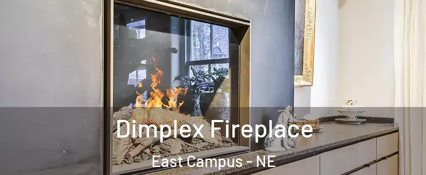 Dimplex Fireplace East Campus - NE