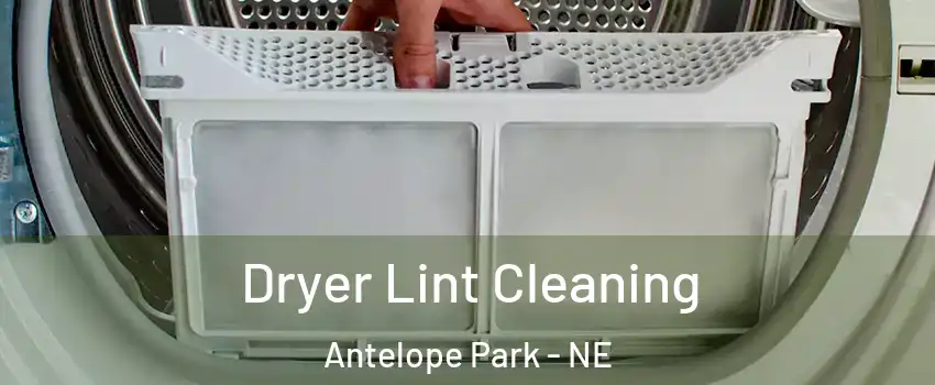 Dryer Lint Cleaning Antelope Park - NE